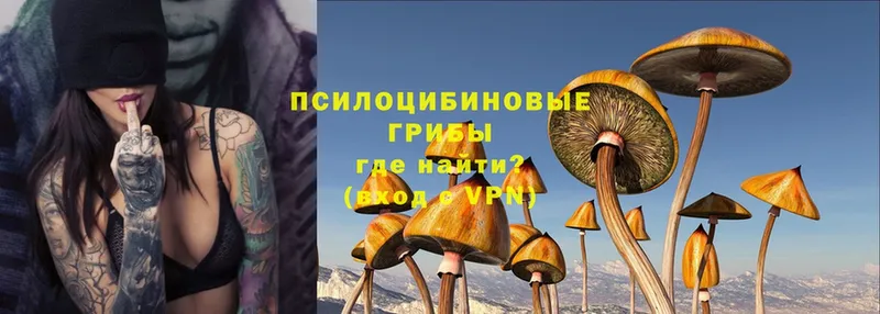 Галлюциногенные грибы Magic Shrooms  Берёзовский 